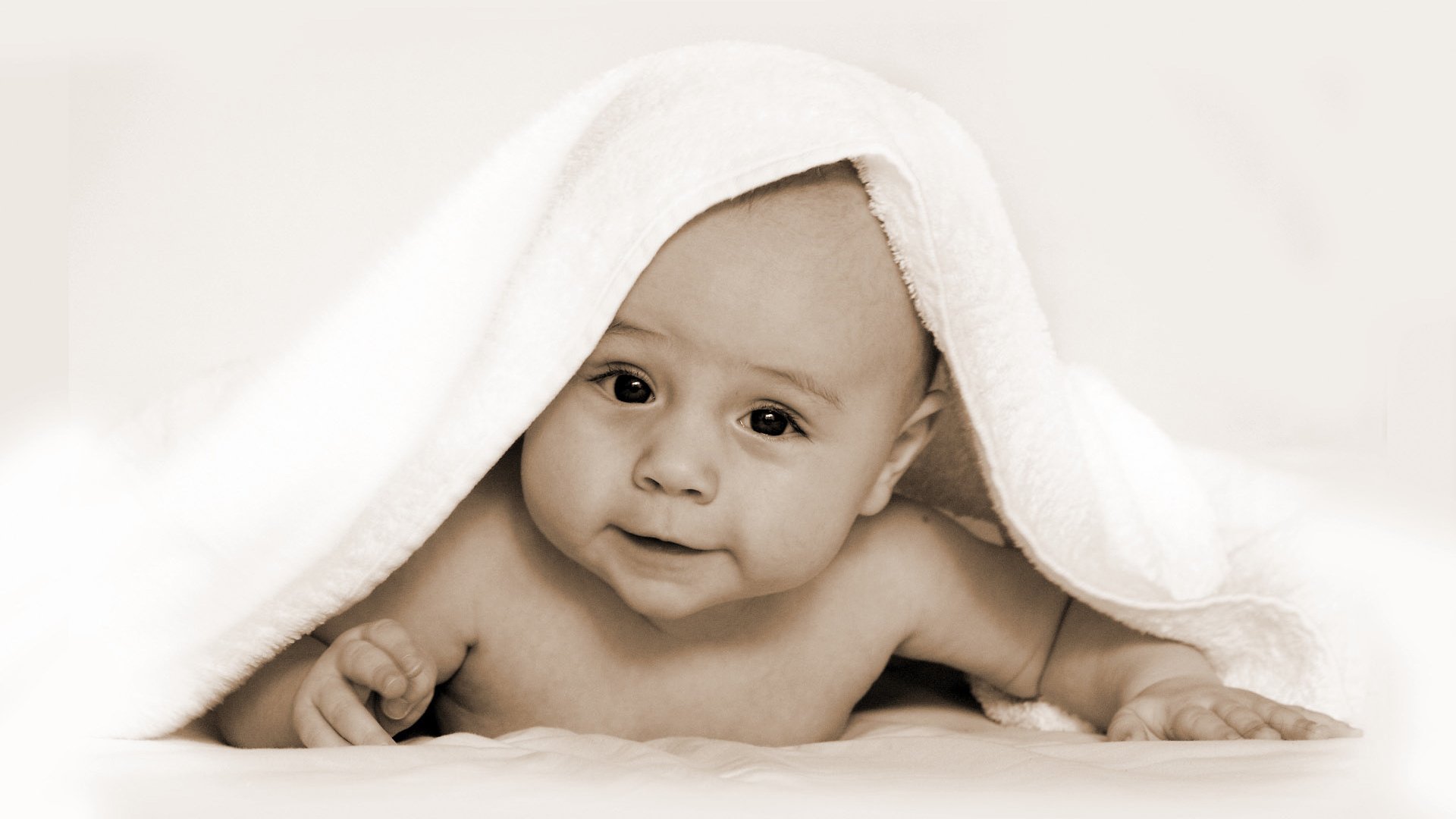 供卵代怀试管婴儿监测卵泡个数